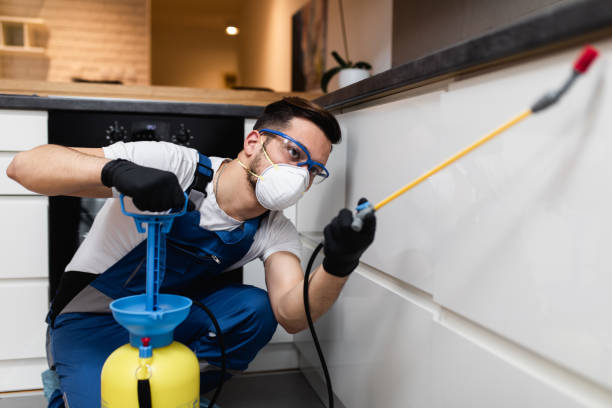 Reliable Harrington Park, NJ Pest Control Solutions